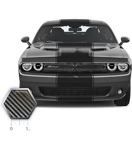 Amazon.com: Fusion Decals Dual 11